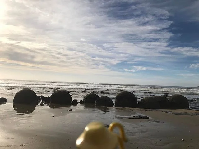 Kiwi takes in the Moeraki Boulders
