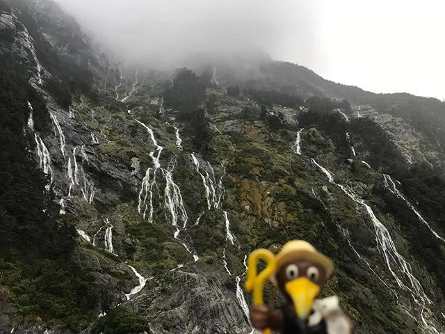 Kiwi enjoys the Milford Sound after completing the TA