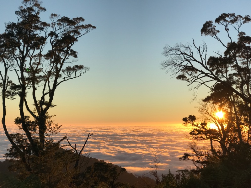 Day 108: Awapoto Hut to Marahau (29 km)