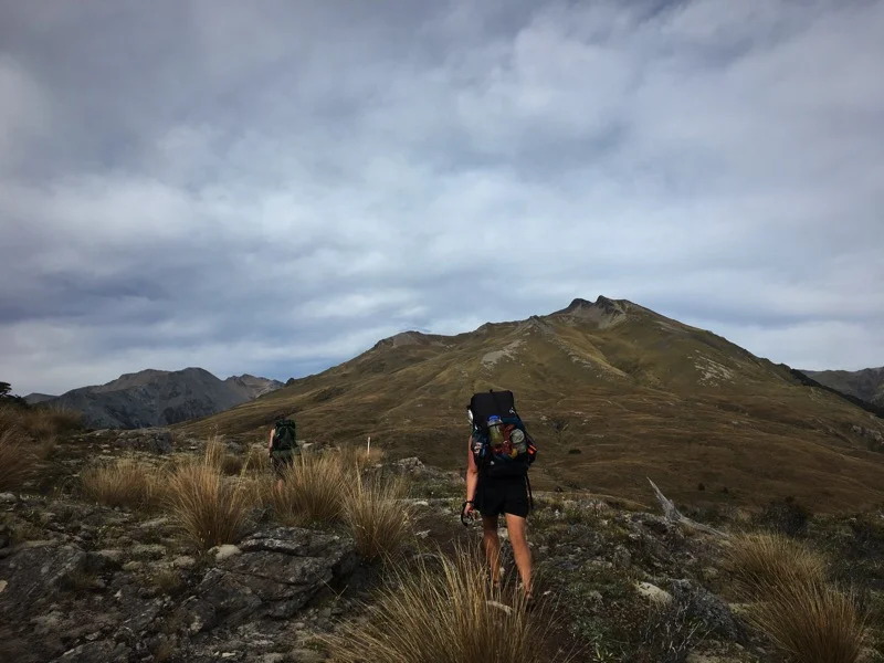 Day 111: Bealey Hut to Hamilton Hut (2183-2198)