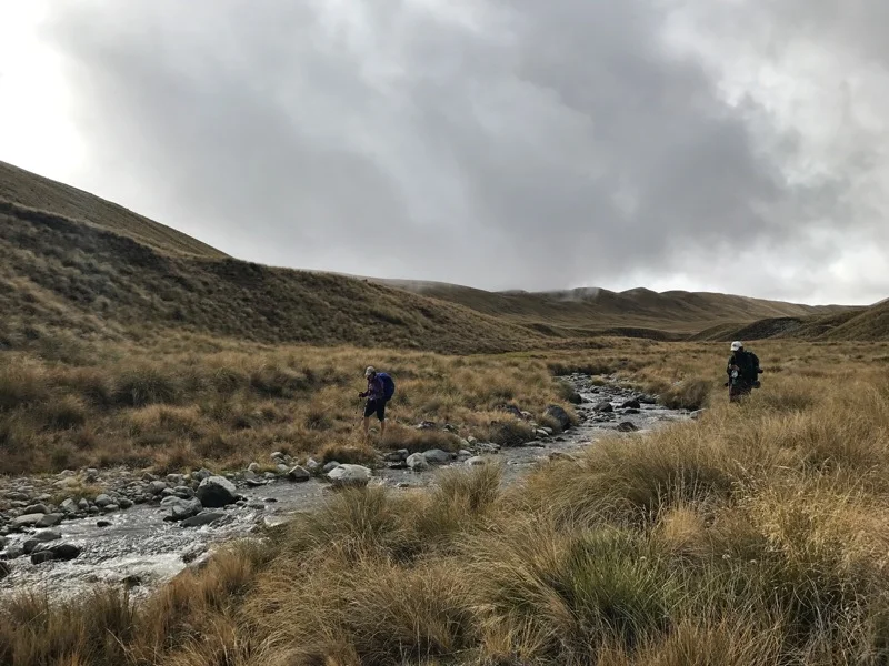 Day 118: Royal Hut to Camp Stream Hut (2339-2354)