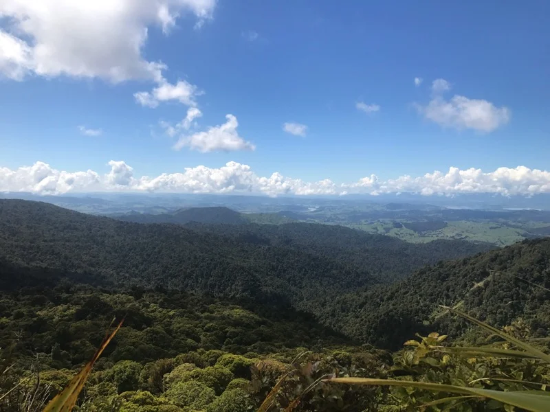 Day 7: Raetea Forest to Apple Tree Campsite (138-173 km)