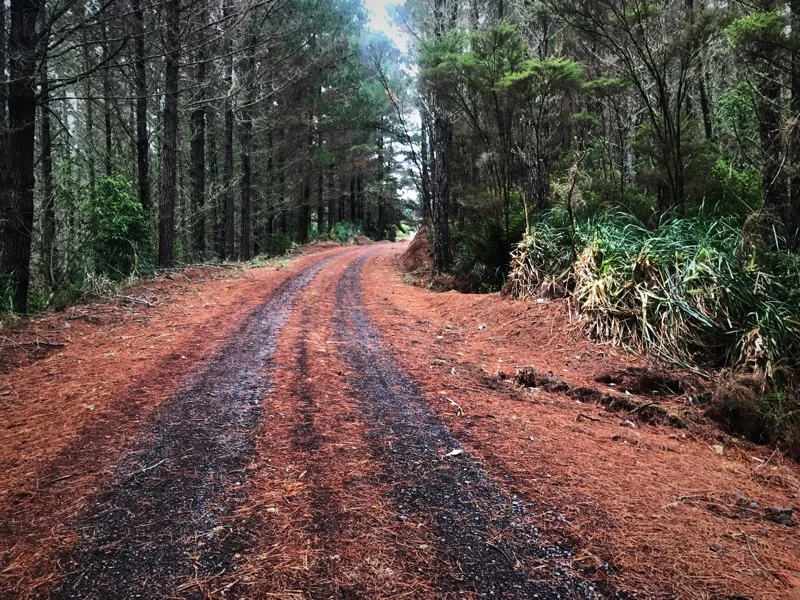 Day 10: Kerikeri to Paihia (223-247 km) 