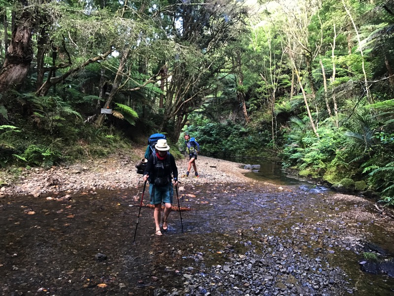 Day 13: Russell Forest to Waikahoa Bay Campsite (267-296, plus 5 km)