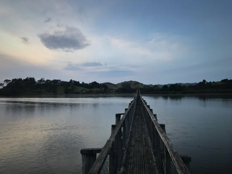 Day 15: Whananaki Holiday Park to Nikau Bay (312-338)