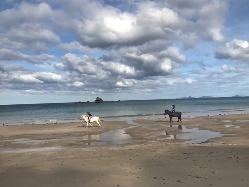 Day 16: Mackerel Forest Track to Peach Cove Hut (347-386)