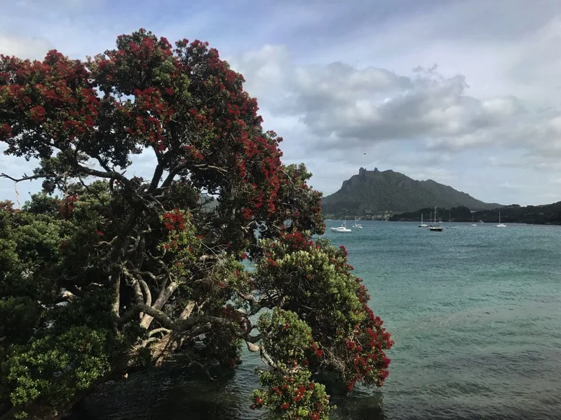 Day 17: Peach Cove Hut to Whangarei (369-385)