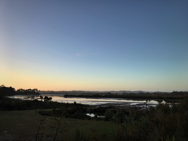Day 21: Mangawhai Backpackers to Govan Wilson Road (449-489)