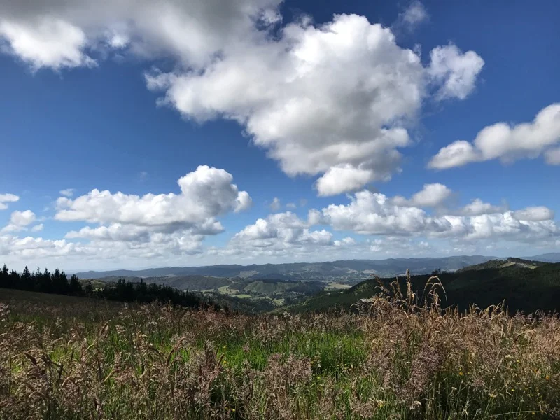 Day 22: Govan Wilson Road to Puhoi (489-529)