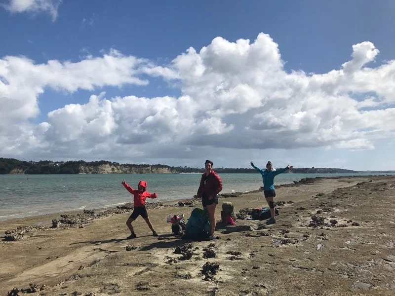 Day 24: Stillwater Motor Camp to Auckland Central (561-595, walked to 575)