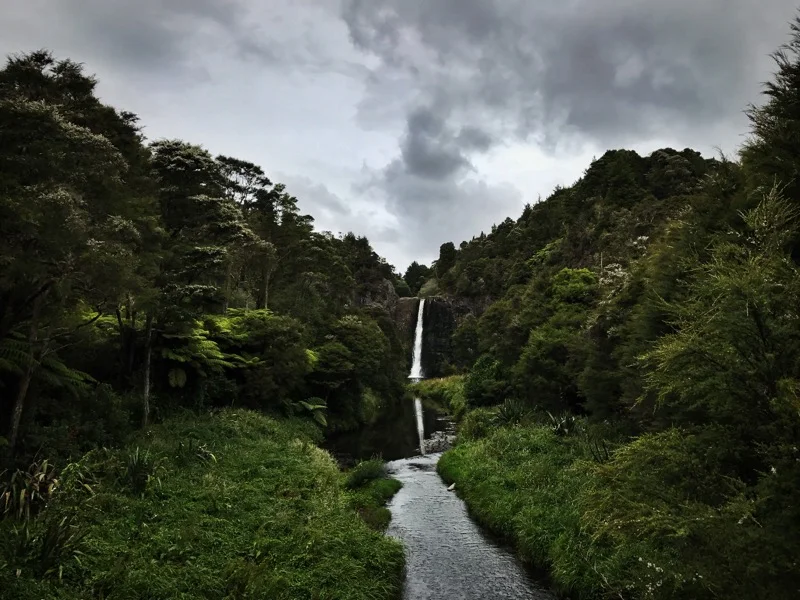 Day 30: Auckland Botanical Gardens to Repeater Campsite (640-685 - including some hitching)