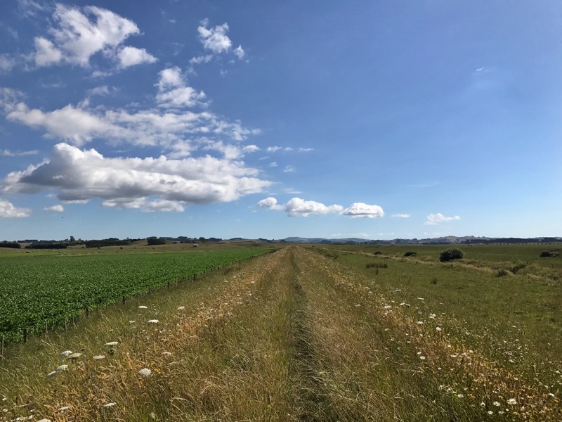 Day 31: Repeater Campsite to Mercer Motel (685-719)