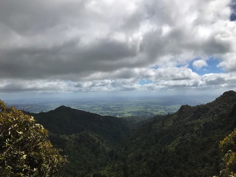 Day 39: Pahautea Hut to Hamilton via the Mahaukura Track (10 km)