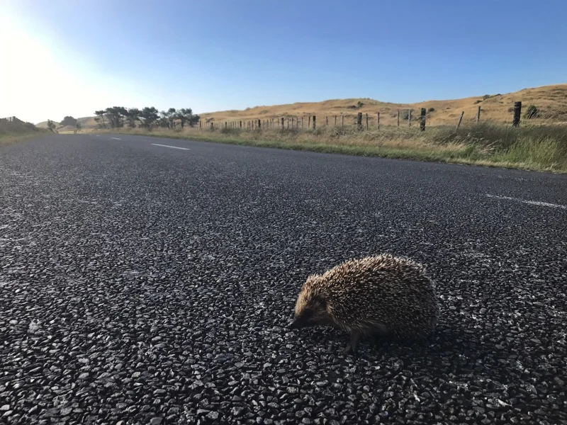 Day 66: Whanganui to Koitiata Campground (1375-1405)
