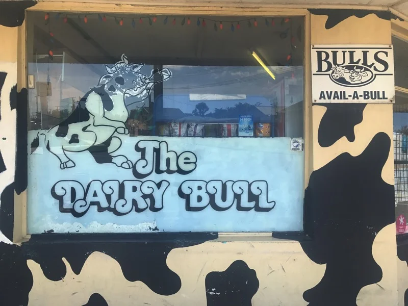 Day 67: Koitiata Campground to Mount Lees Reserve (1405-1442)