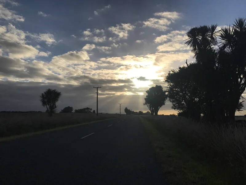 Day 68: Mount Lees Reserve to outside Palmerston North (1442-1492)