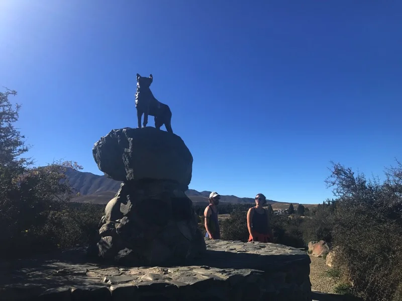 Day 121: Lake Tekapo 0 Day