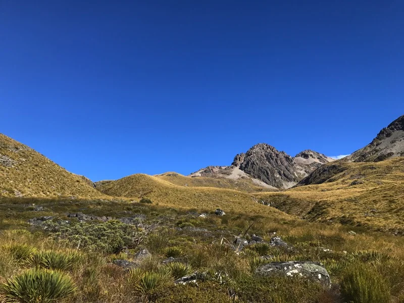 Day 124: Lake Middleton Campsite to just past Birchwood Road (2472-2503)