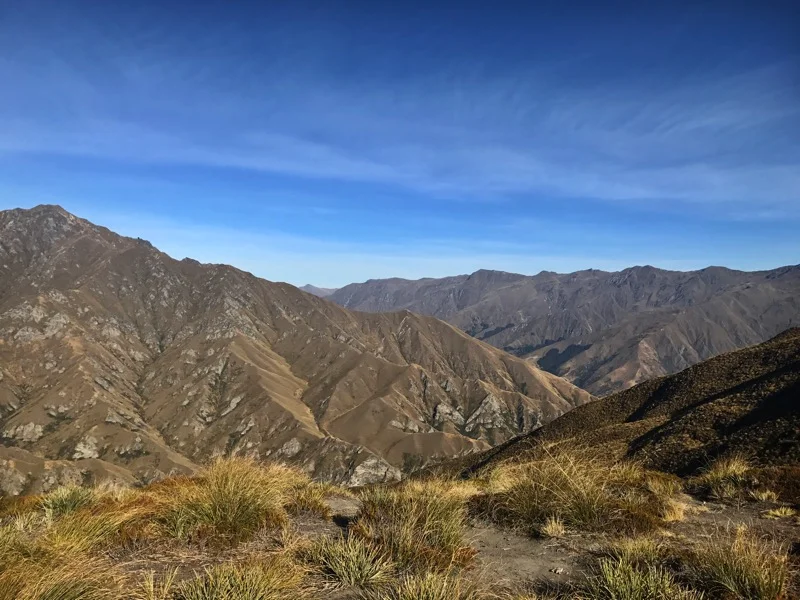 Day 131: Fern Burn Hut to Roses Hut (2609-2625)