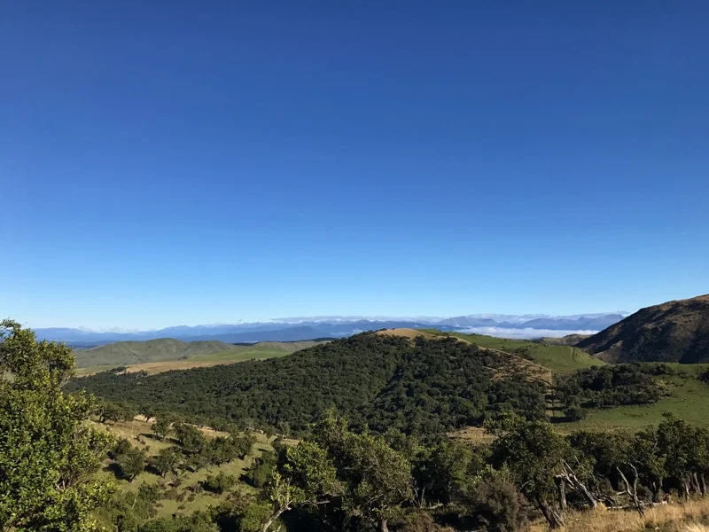 Day 143: Telford Campsite to Merrivale Road Hut (2815-2835, 2861)