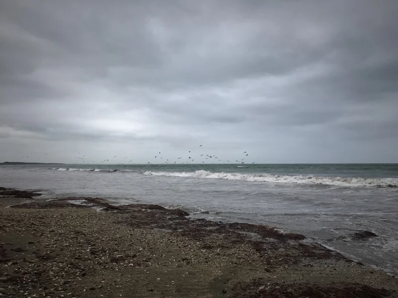 Day 146: Colac Bay Tavern to Invercargill (2919-2964)