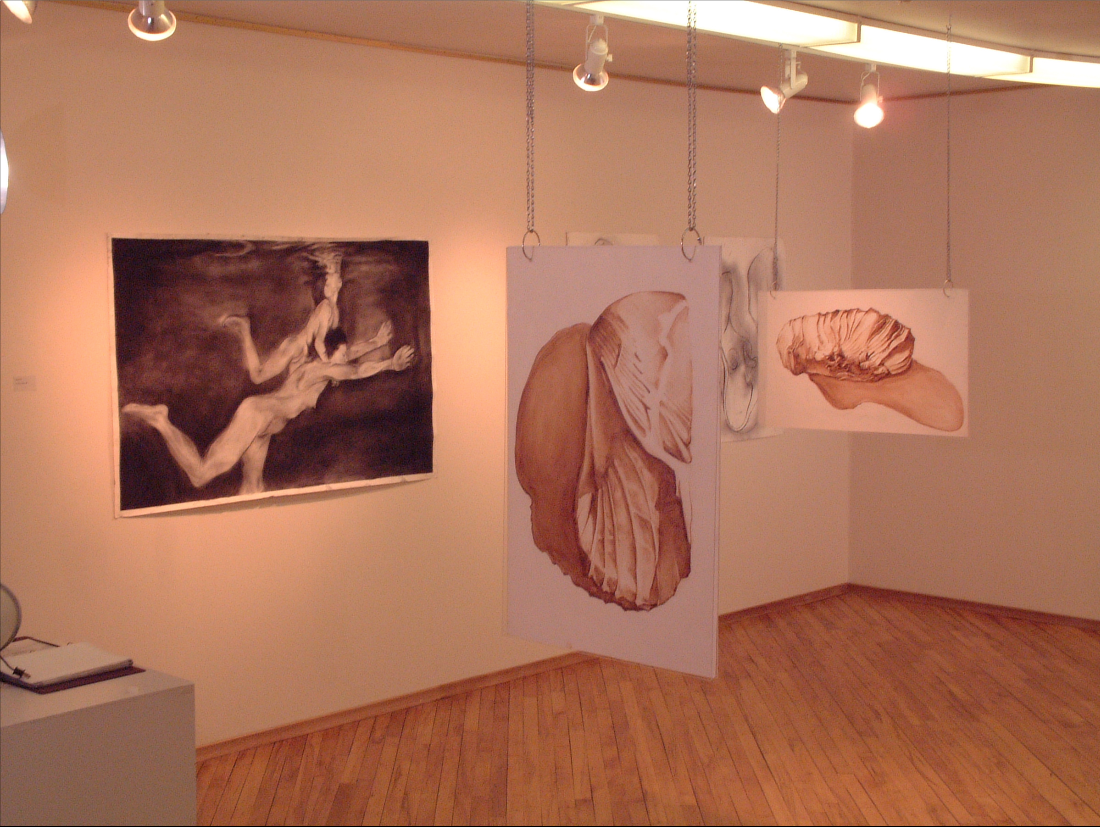 Screen Shot 2016-10-02 at 4.53.32 PM.png