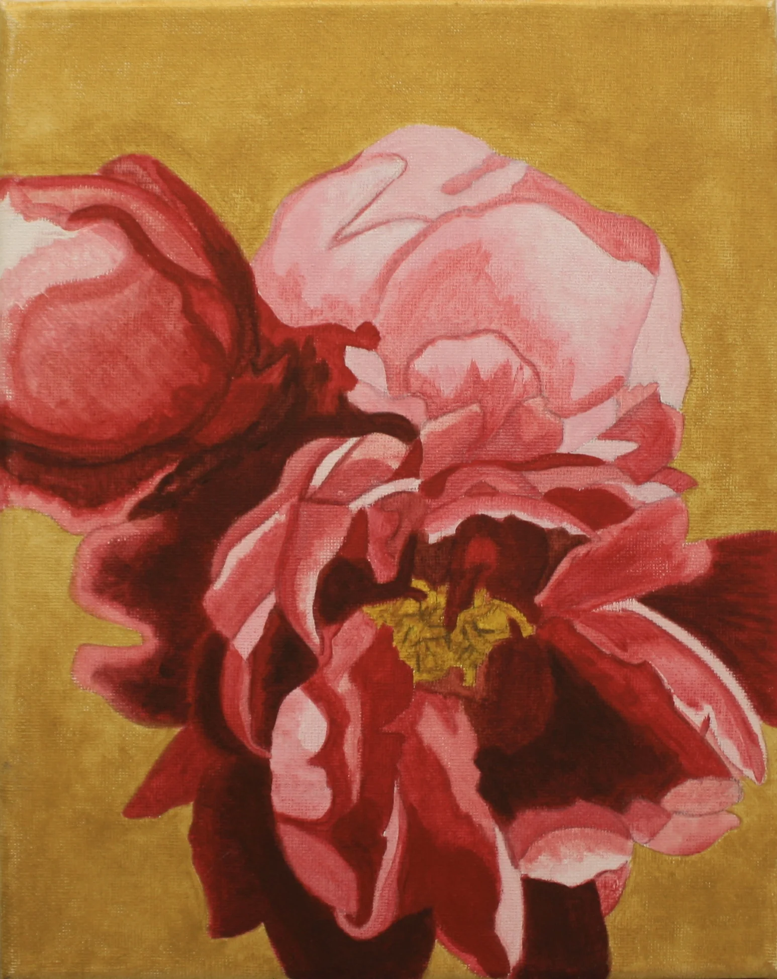 Red Peonies - CloseUp_076.JPG