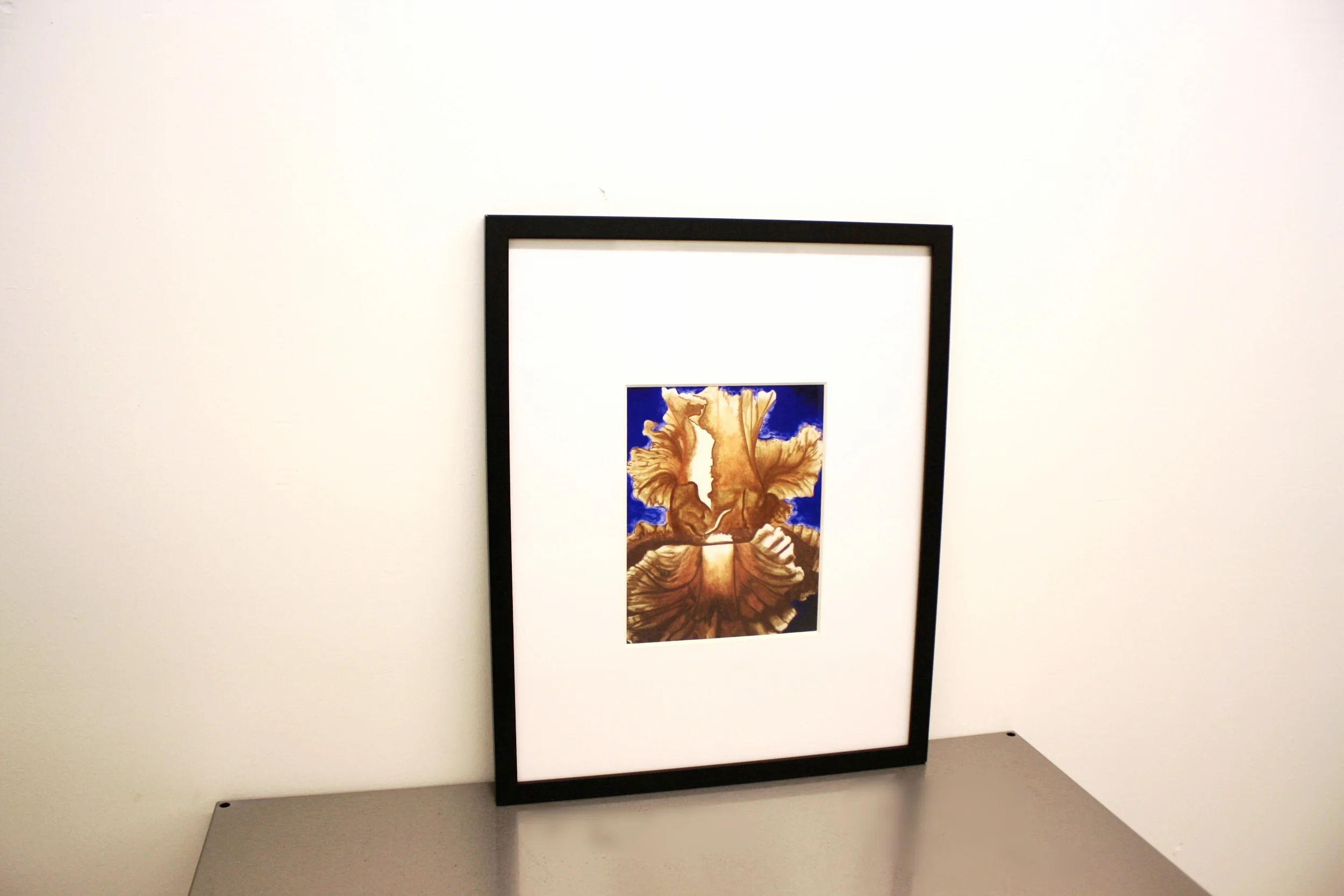 Is that a Cabbage-Purple_0711.JPG