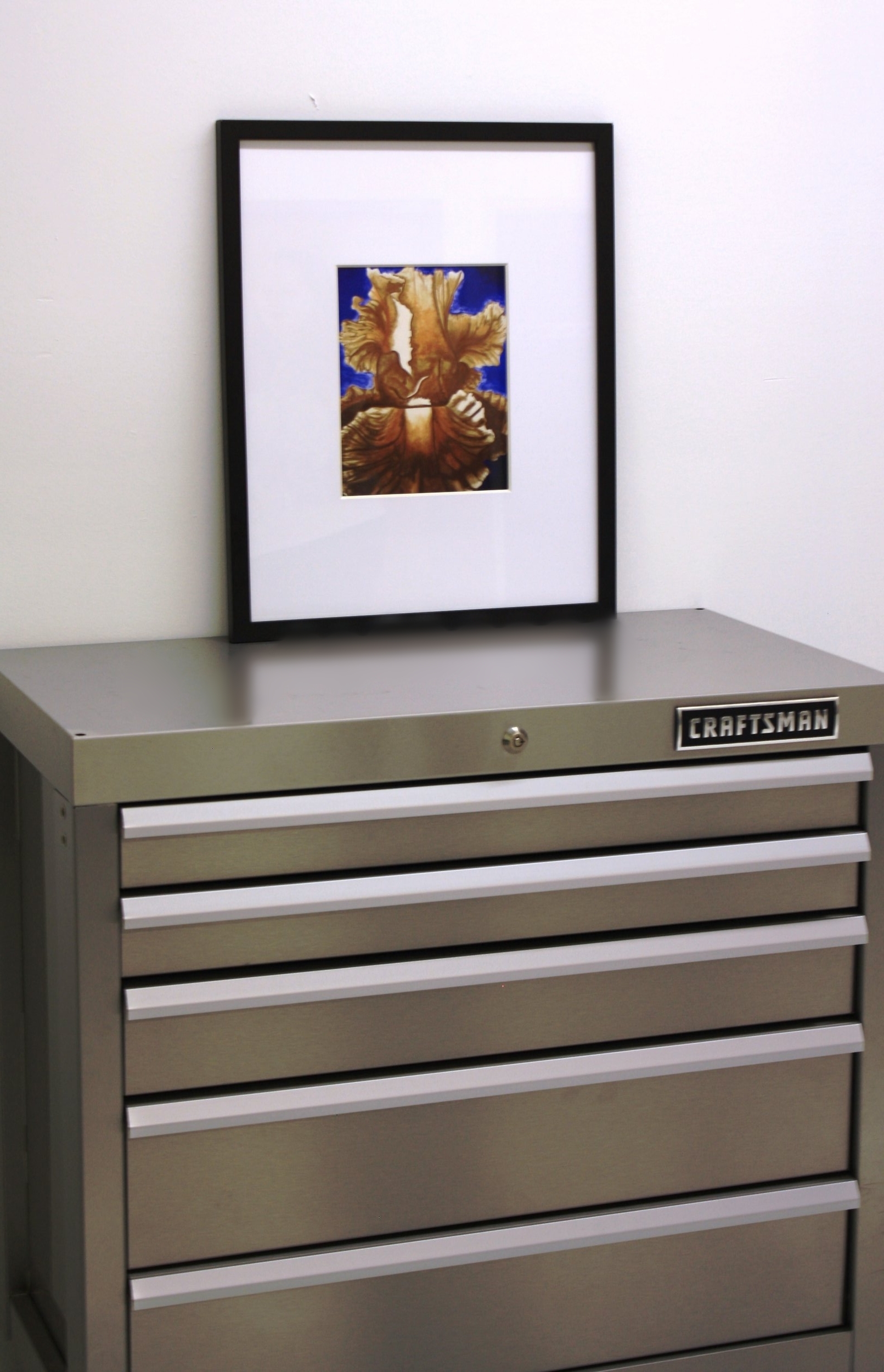 Is that a Cabbage-Blue_0693.JPG