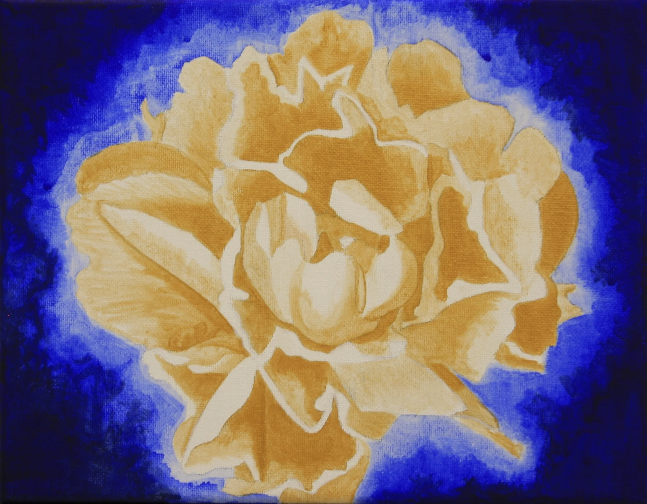 Gold Peony_0522.JPG