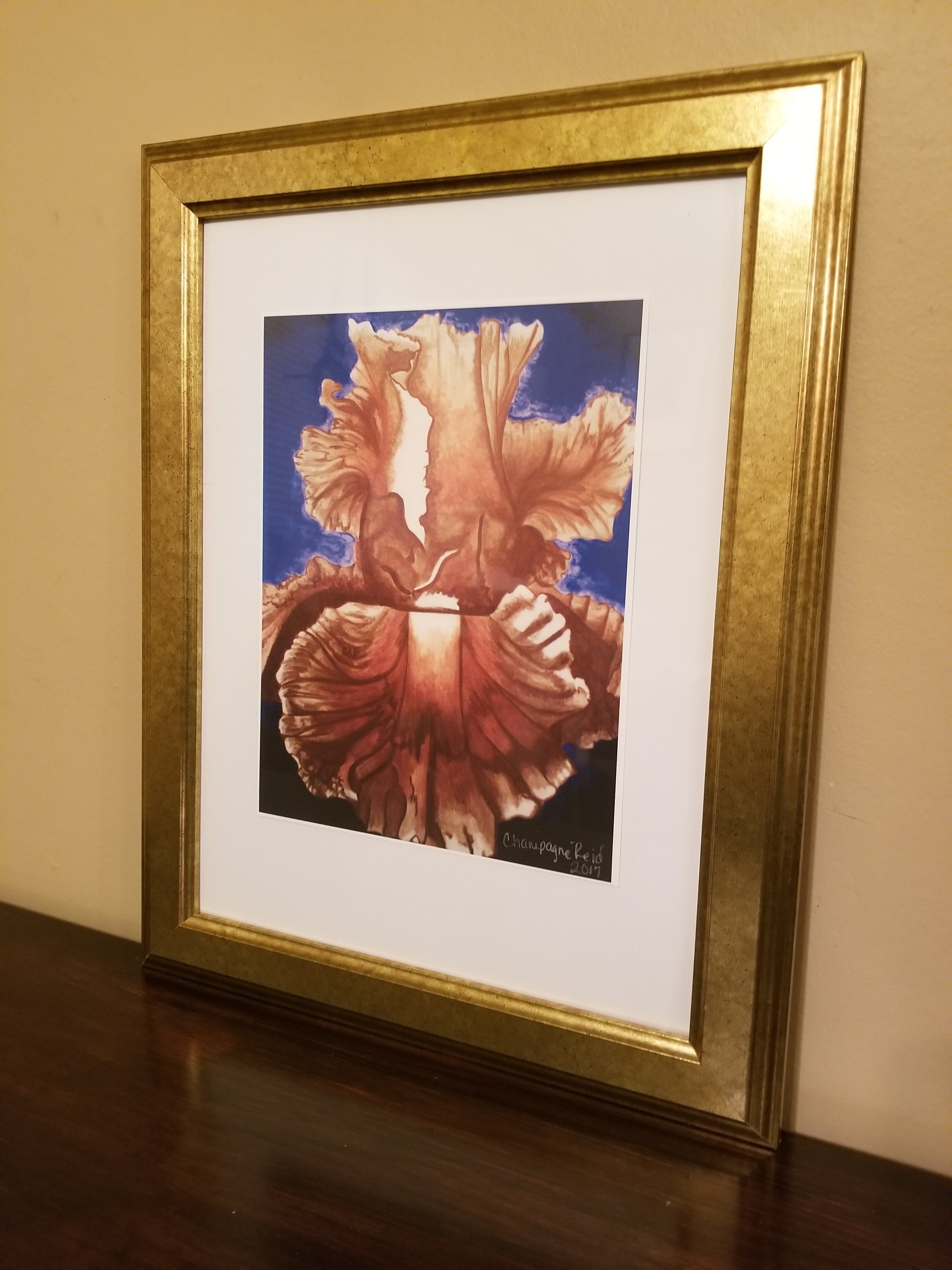 Sea Anemone Print in Frame2.jpg