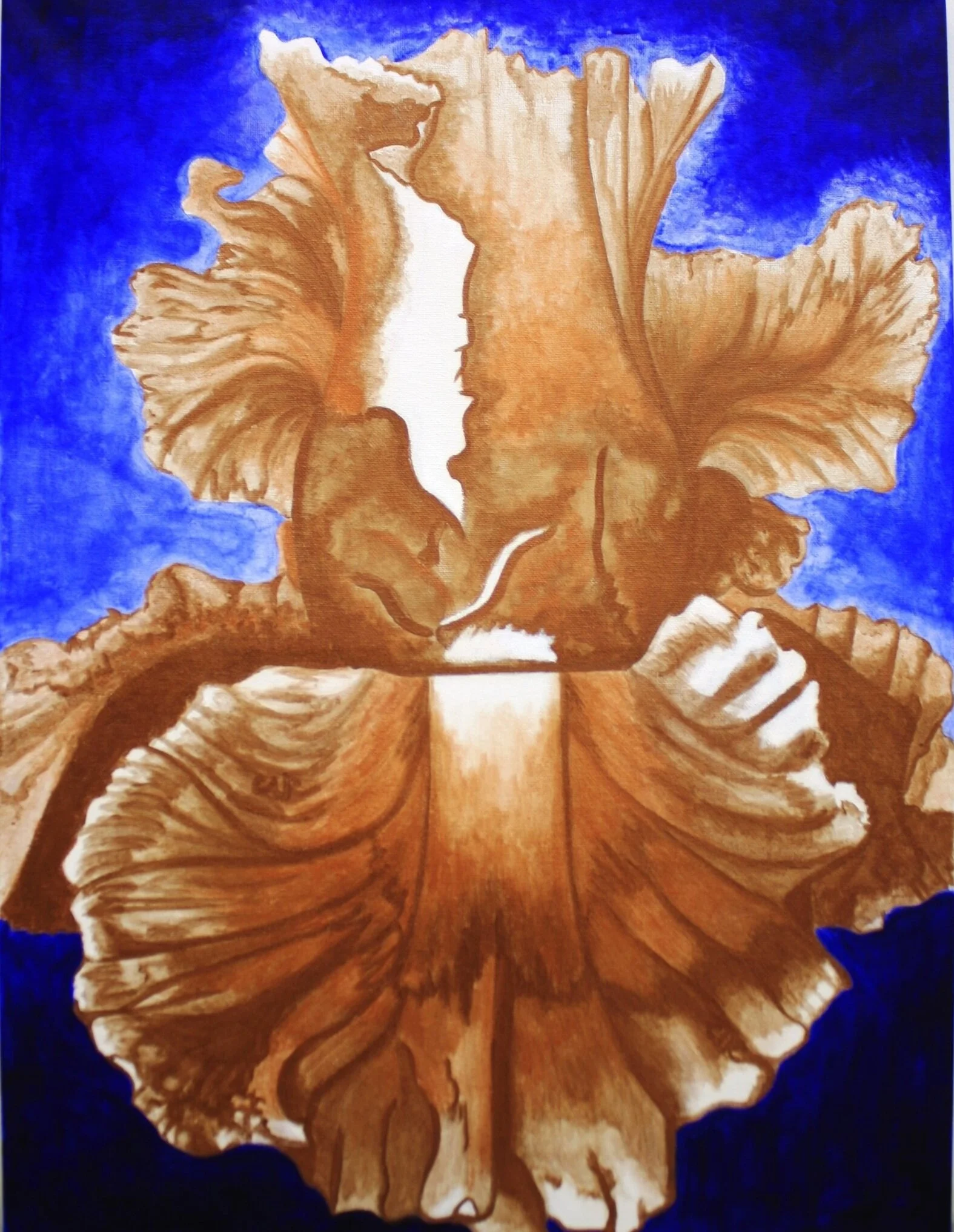 Honey Mocha Bearded Iris Floral Art Print