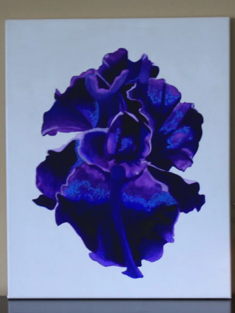 Bearded Iris Original Painting