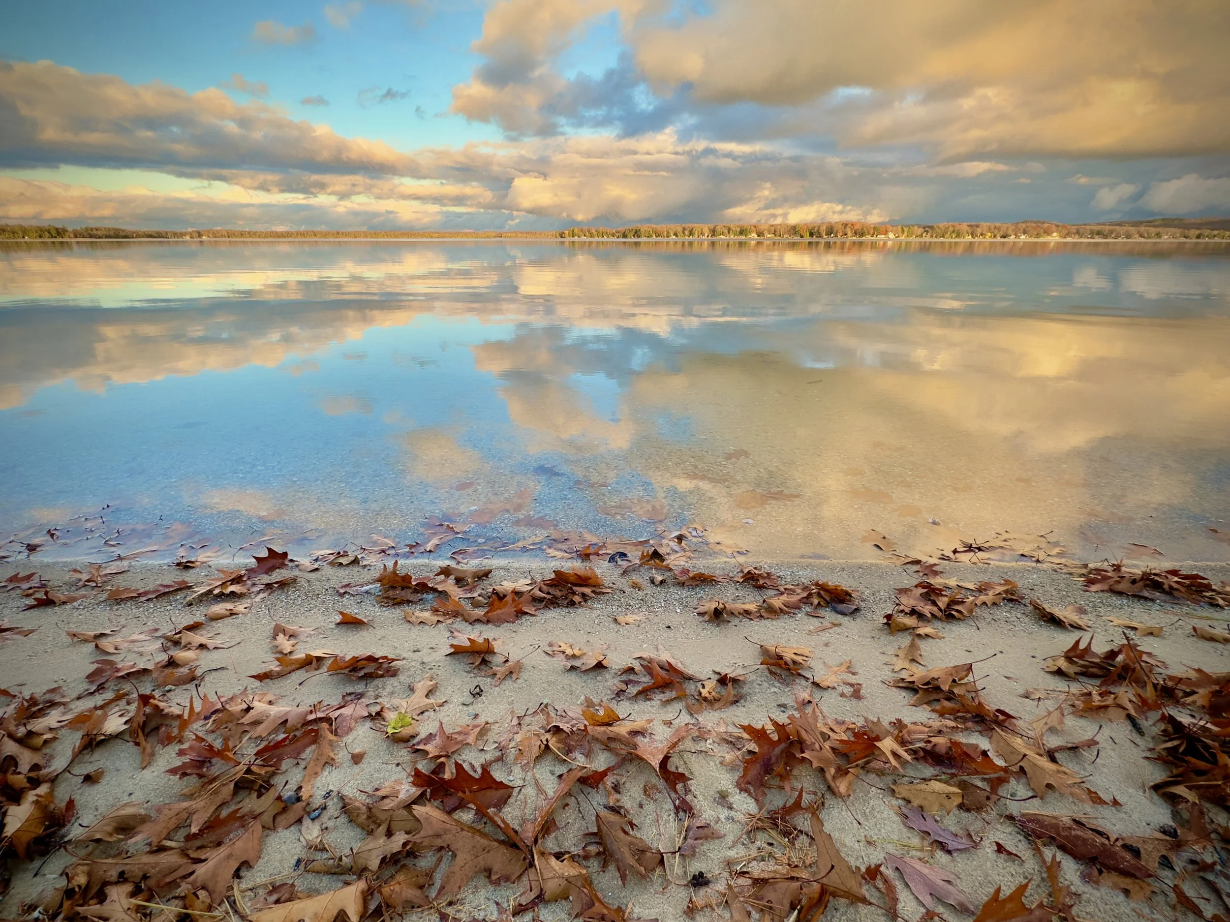 A calm lake reflecting a partly cloudy sky with trees on the shoreline, and dry autumn leaves scattered on the sandy shore in the foreground.