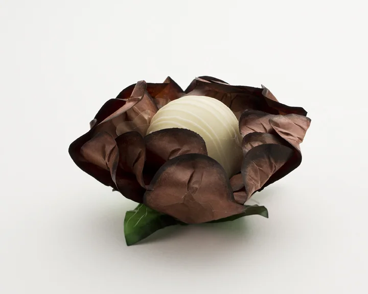 Brown Truffle Wrappers