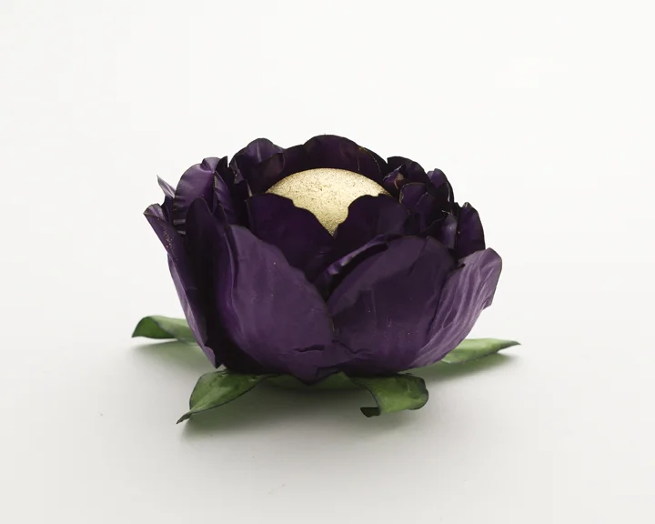 BELLA PURPLE.jpg