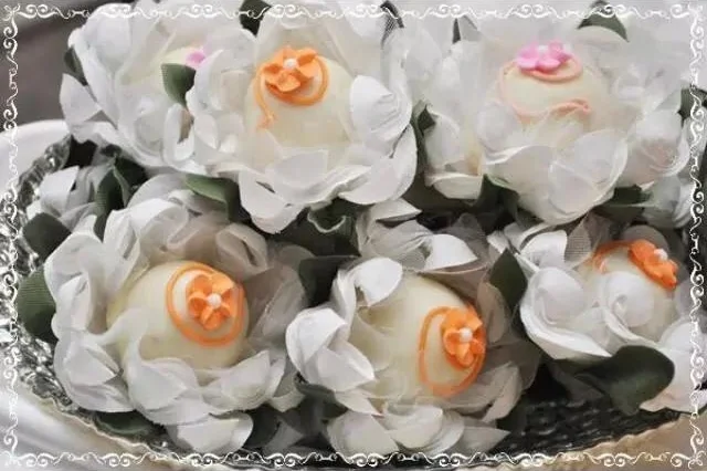 white melissa iris.jpg