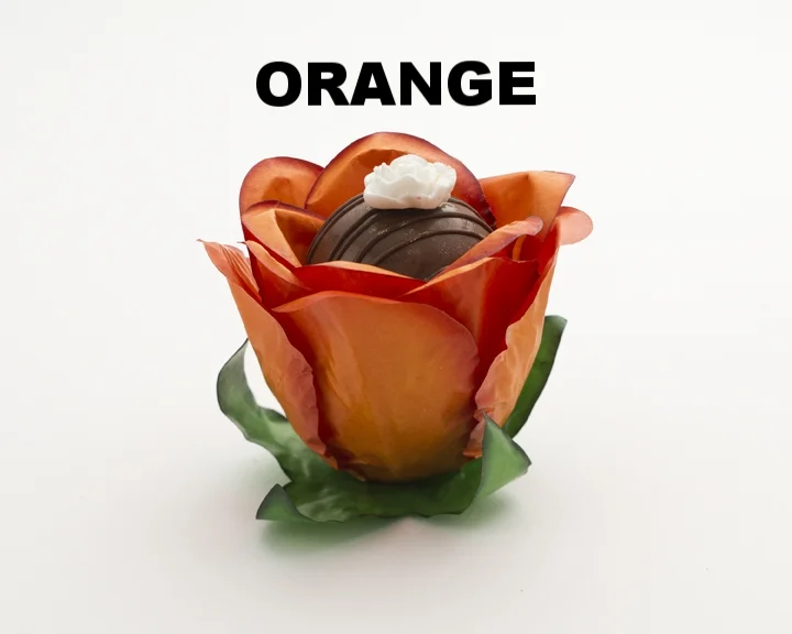ROMANCE ORANGE.jpg