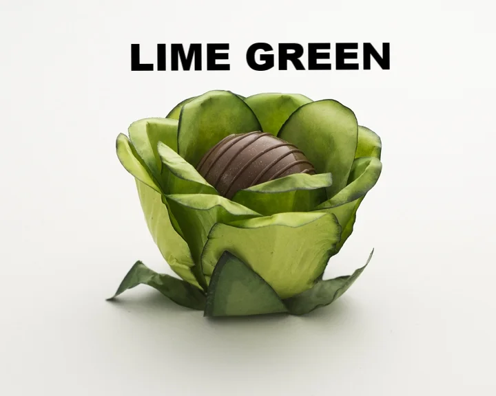 ROMANCE GREEN.jpg