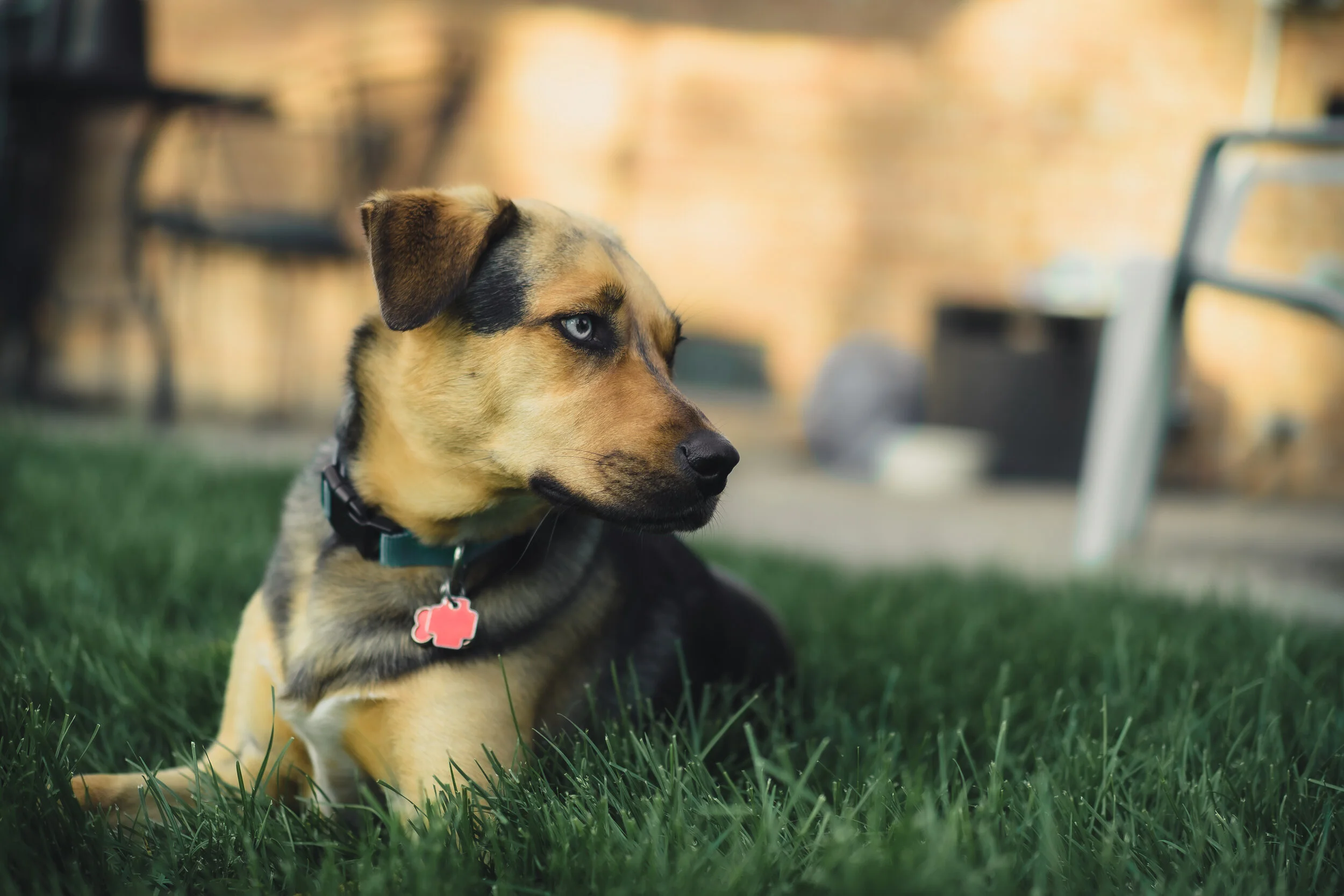 Ripley-3.jpg