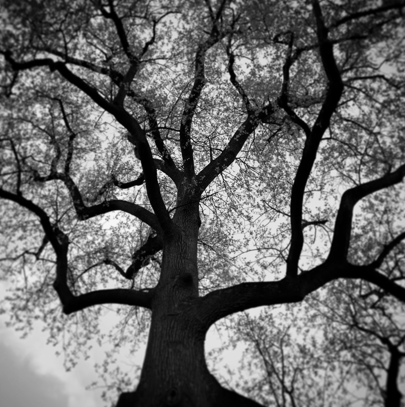 Screen Shot 2022-11-28 at 8.06.52 PM.png