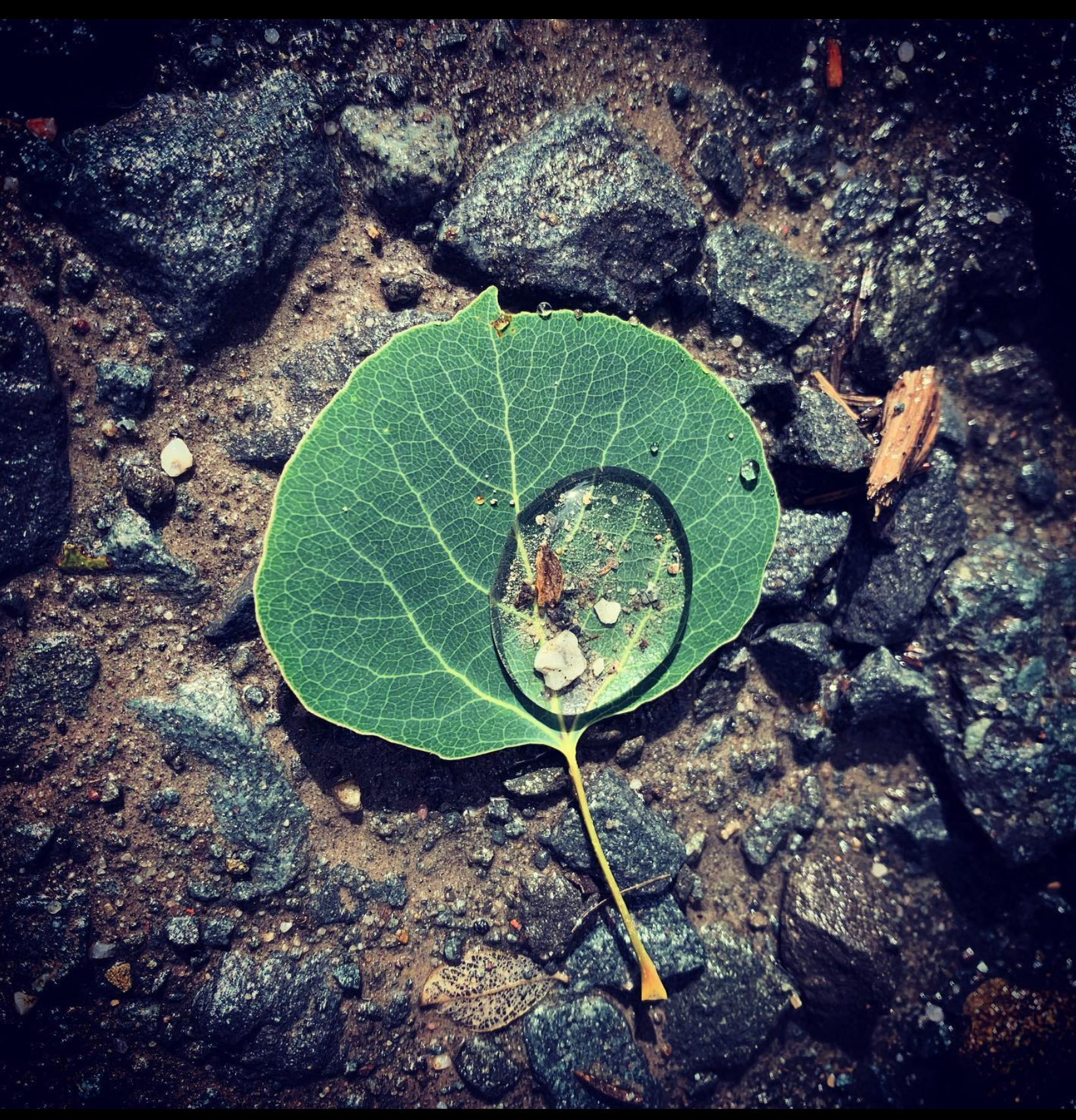 Screen Shot 2022-11-28 at 8.06.16 PM.png