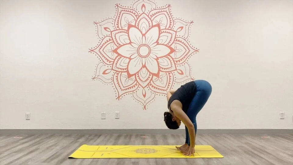 Old Town Yoga Studio — Video Gallery