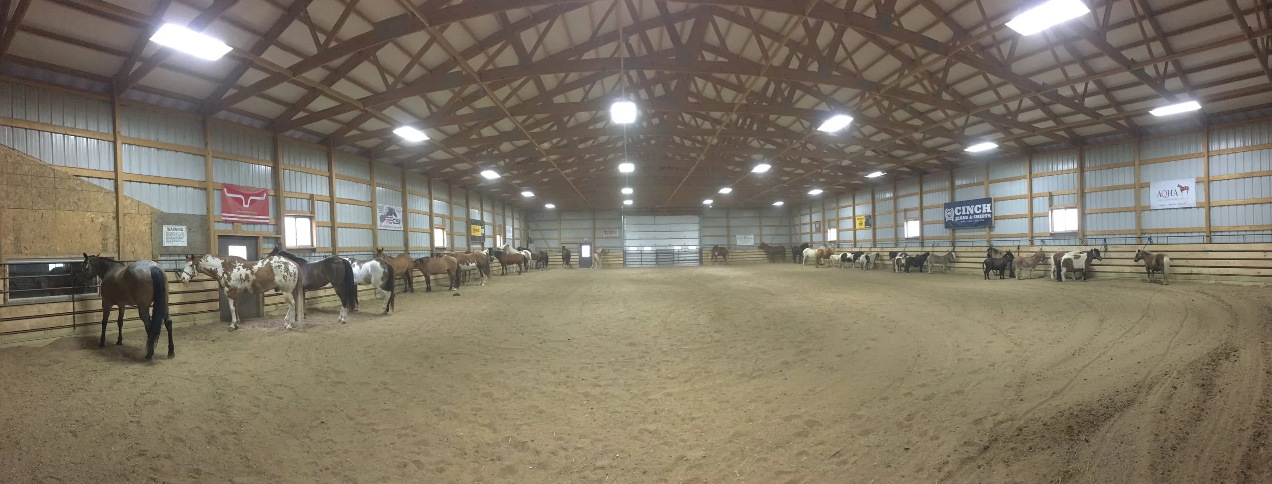 full arena.jpeg