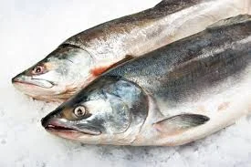 MARINE COLD STORAGE