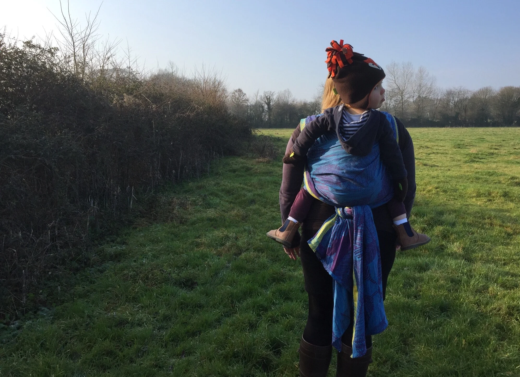 Shire Slings Hornbeam Wintersky & Elderberry