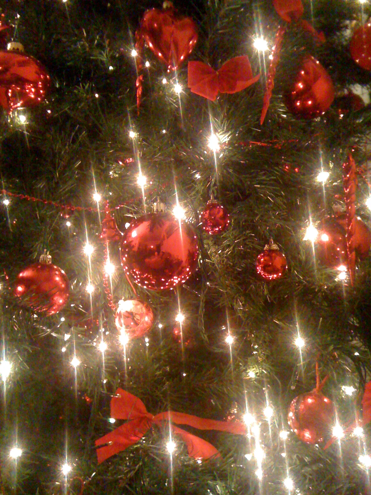 In the meantime....decorations in Casa Cardillo! 