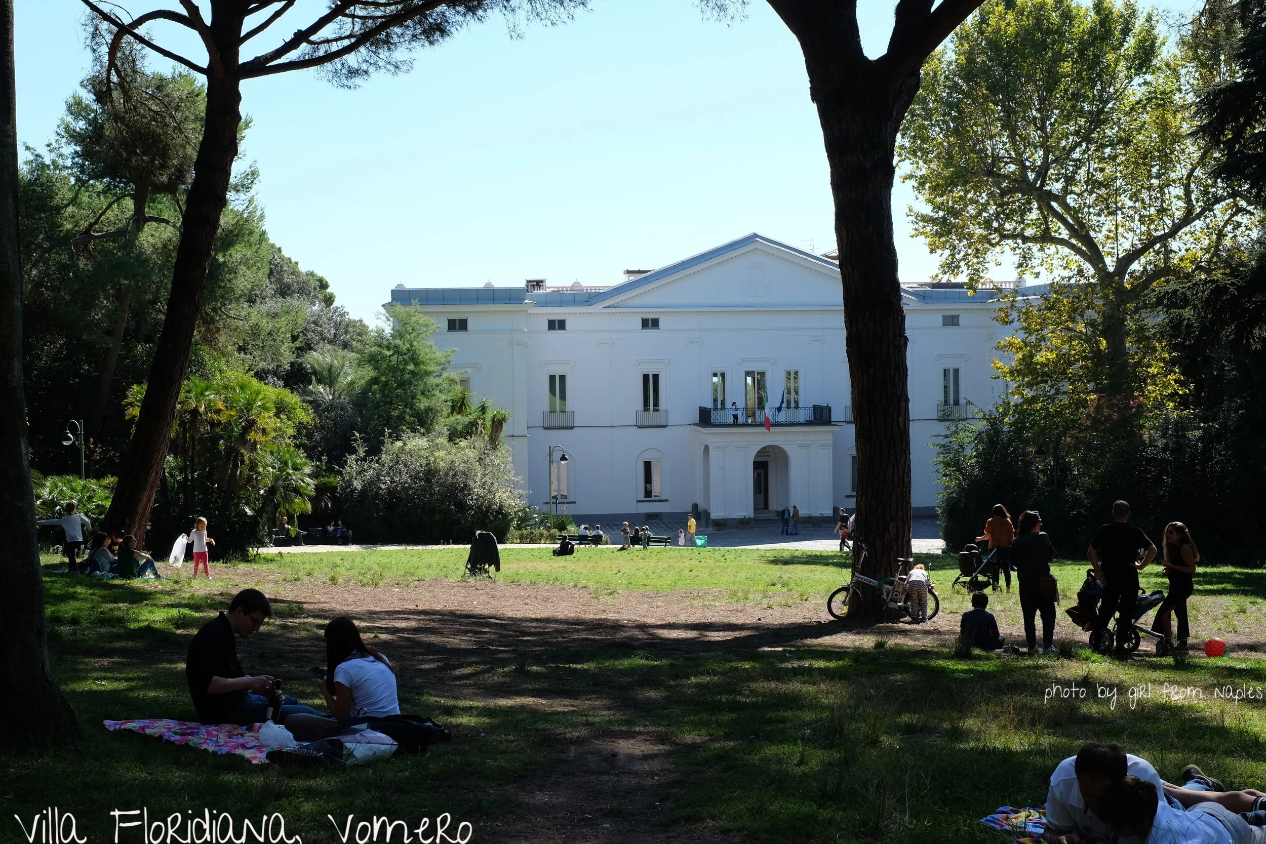 DSCF8319.JPG
