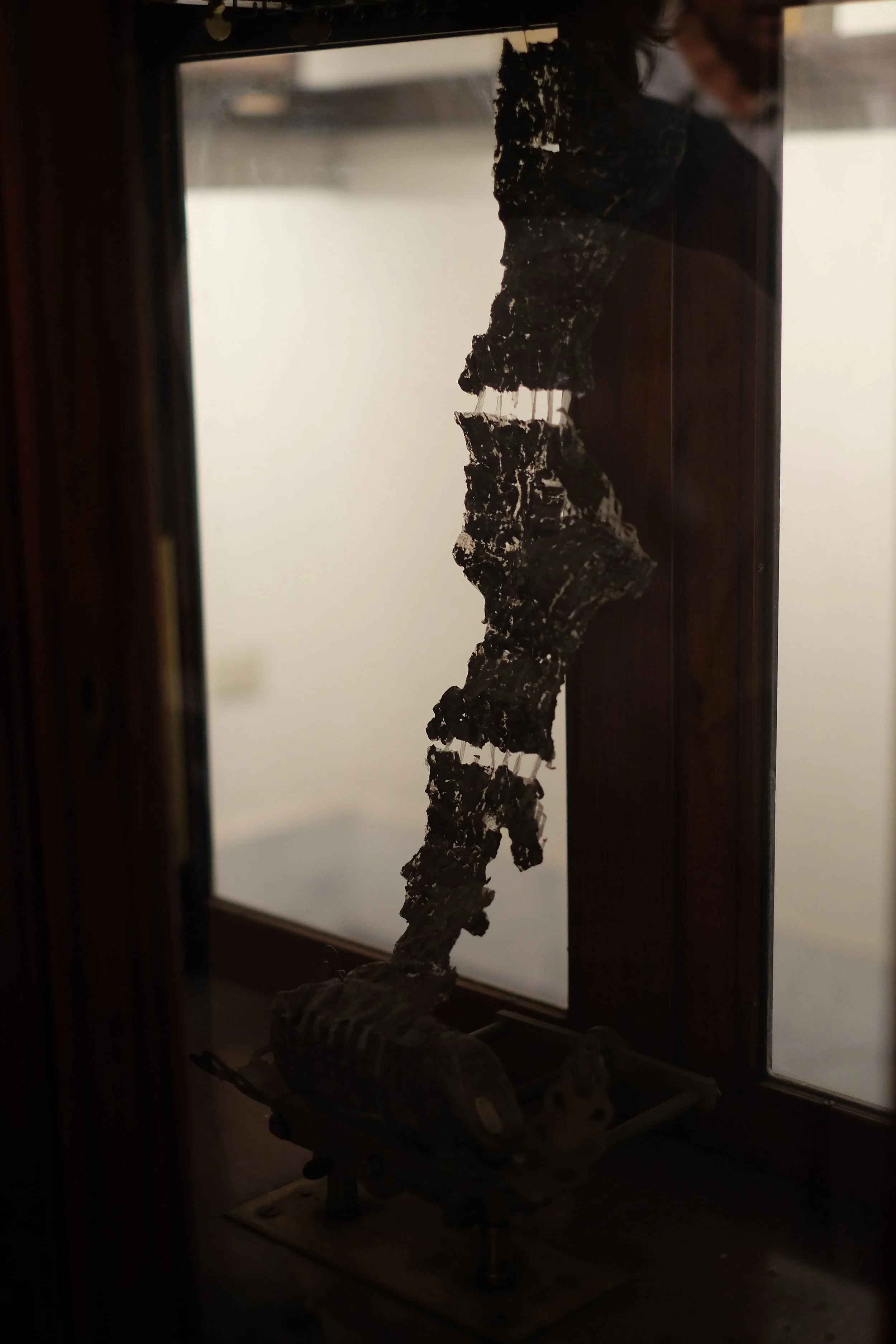A papyrus unrolled from the Villa dei Papyrus.