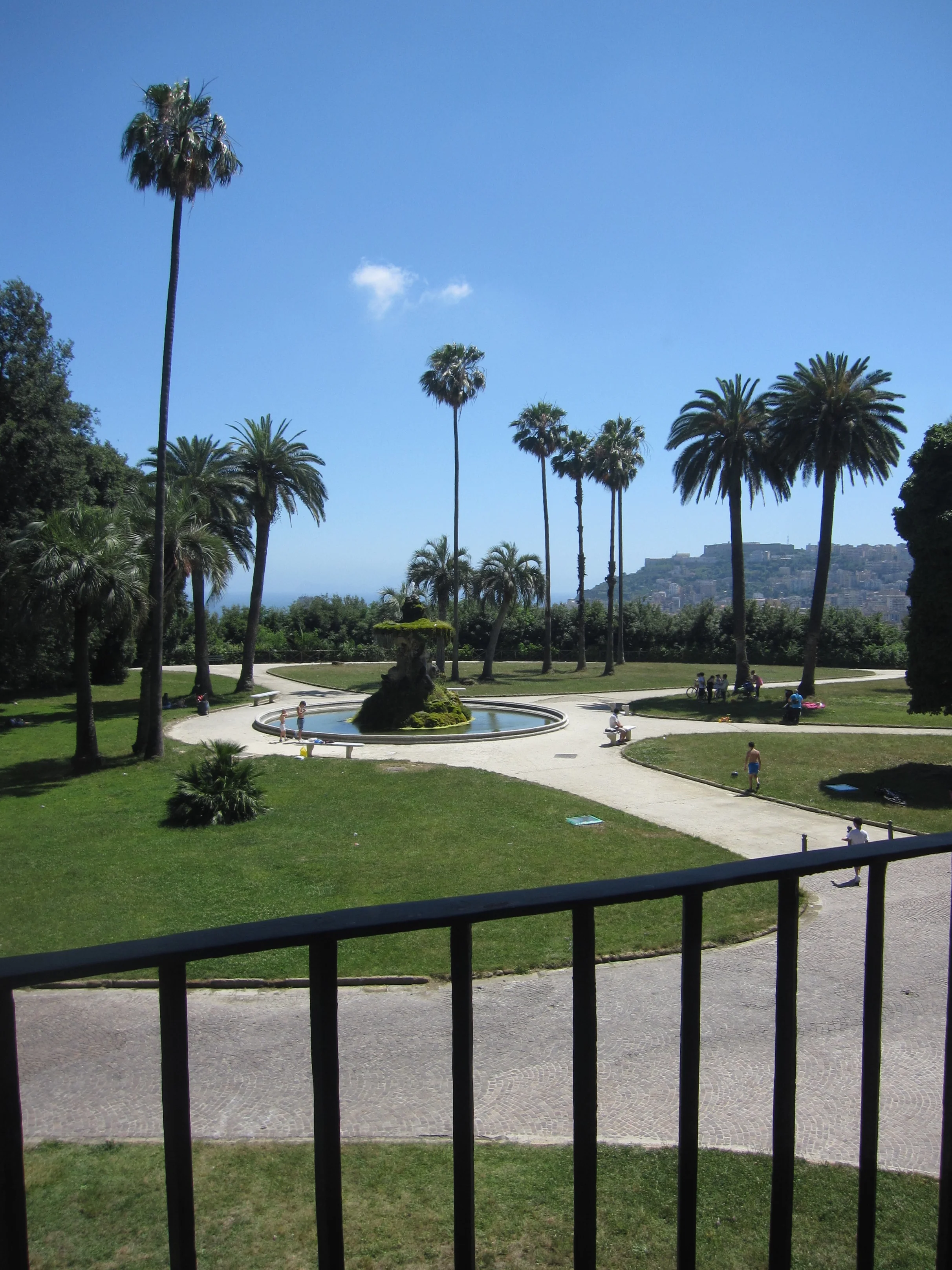 View of the park.